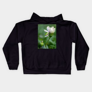 Dwarf Tree Frog and Flower Kids Hoodie